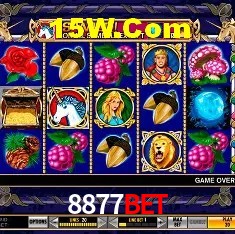 8877Bet Salvador - Statistics